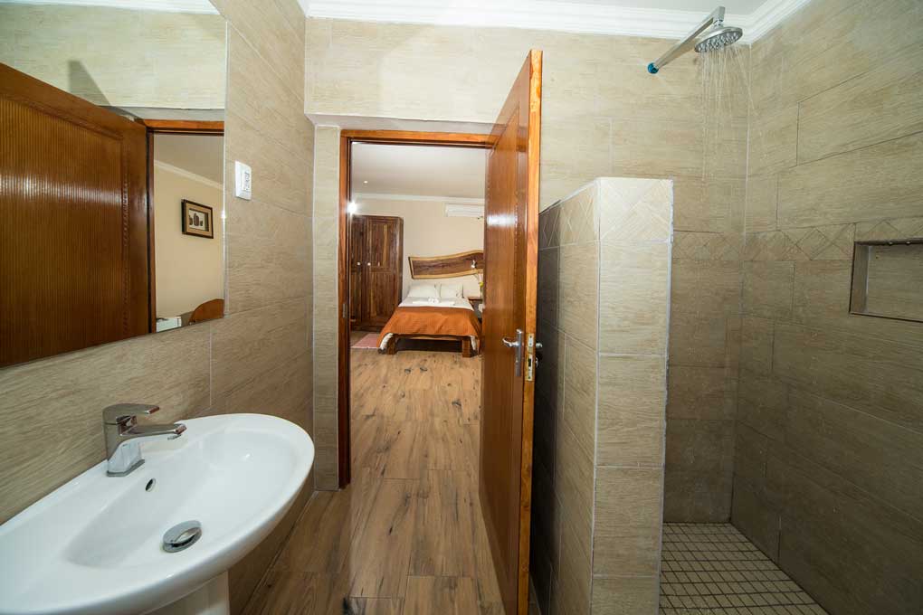 Standard Double Room Shower